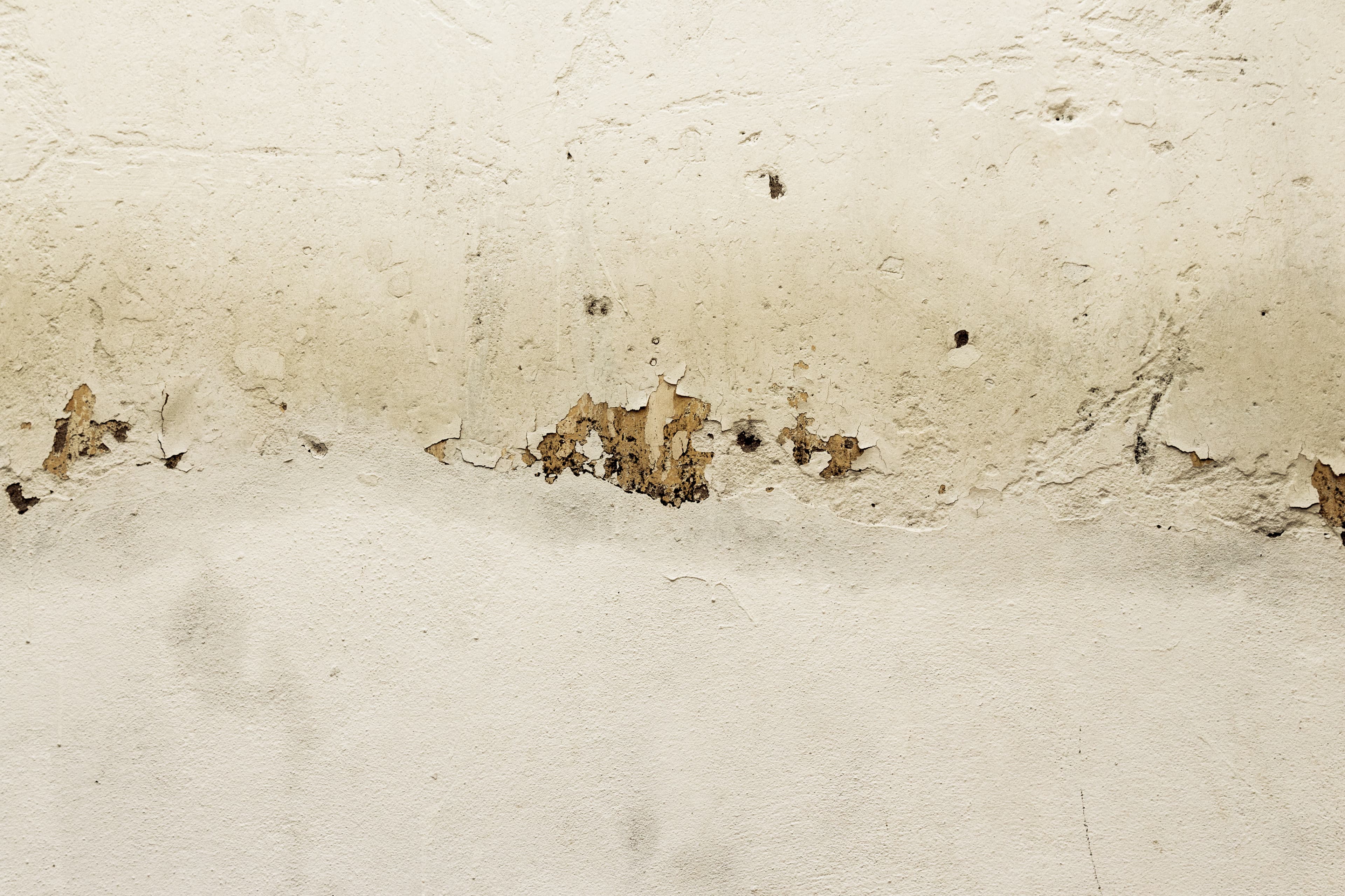 Wall with visible staining, peeling finish and dark spotting