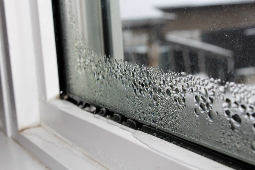 damp_2_b997ff2243.jpg
